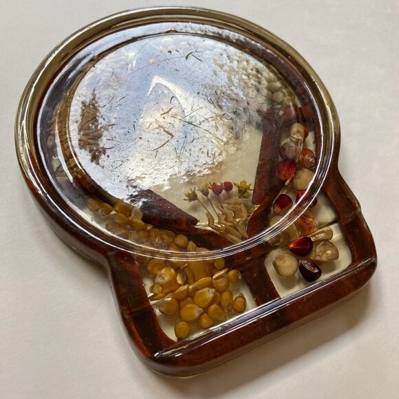 Resin Lucite Embedded Seeds Flowers Pressed Butterfly Hot Plate Trivet - Picture 3 of 5